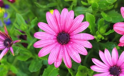 著名的挽回情感机构，给大家维持婚姻美好的小秘诀