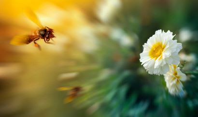 地藏王超度心咒的作用不仅仅是超度亡灵