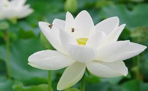 不利于子女发展的居家风水有哪些 居家风水详批