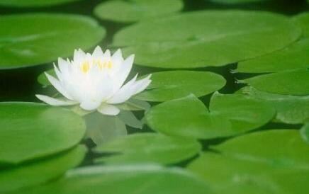 打胎后怎么还阴债？如果超度婴灵？一尘师傅真实案例