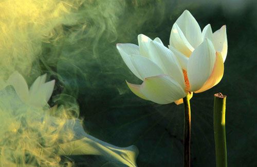 财运免费测试 近期财运测试免费测可信吗?