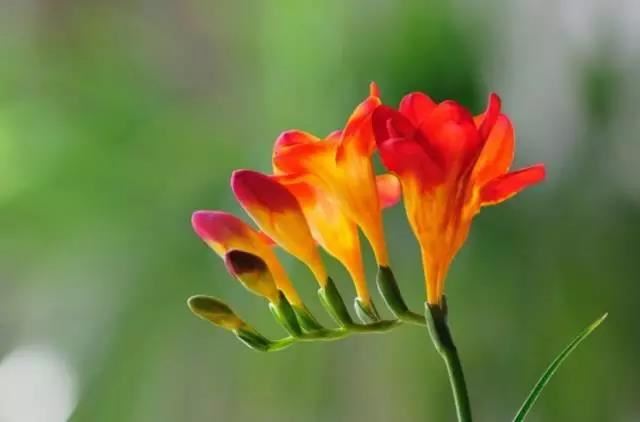 如何选购适合17平店铺的风水轮,提升生意转运