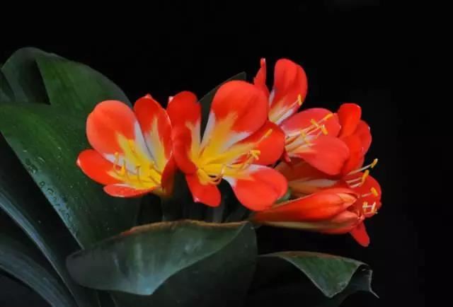 三月前无婴灵？超度婴灵法事有没有必要