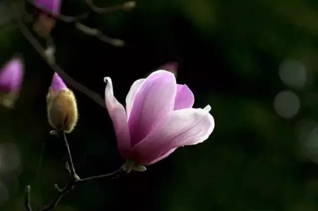 做完还阴债法事感应,如何保护自己不受负能量影响？