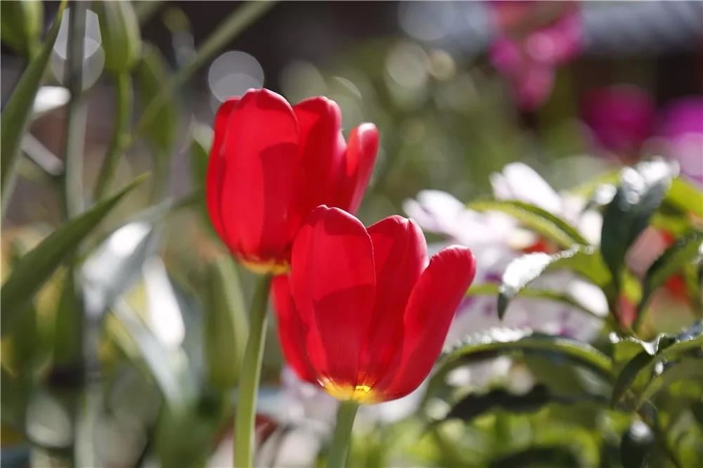 生娃后婆媳矛盾加重 这样做不是亲妈也胜似亲妈