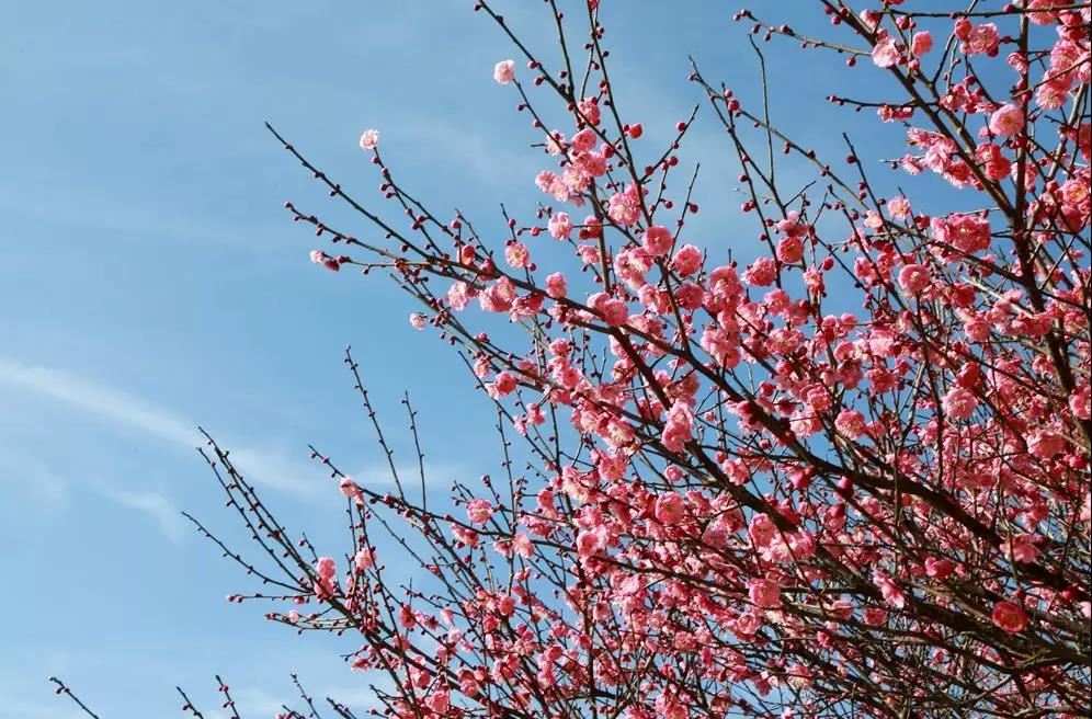 冬至日道教元始天尊圣诞，冬至日玉清圣境元始天尊诞辰