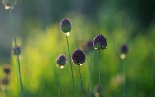 第一胎不能打掉吗，超度婴灵为什么要写父亲