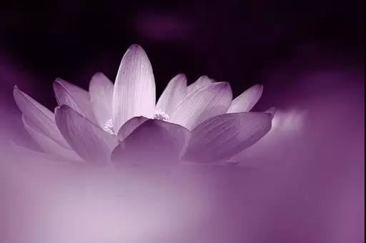 弟弟去世了怎么请和尚道士超度,弟弟去世做超度法事