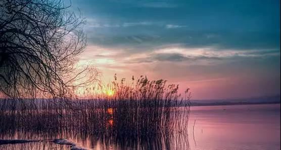 婚庆好日子，结合双方生日选出来的才算是真正的好日子