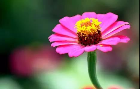 前女友恨我还能挽回吗?怎么挽回