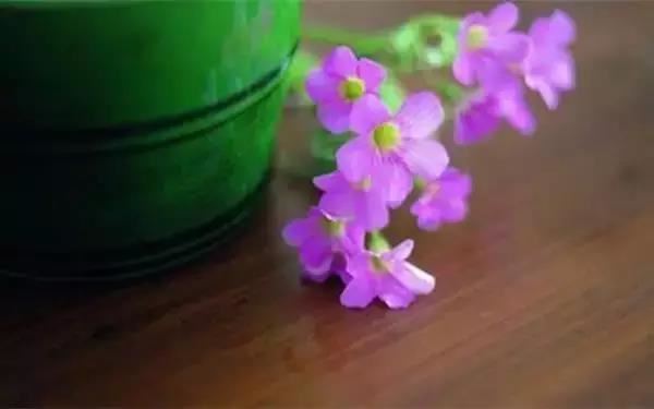 佛说怀孕不顺利的人是阴债没有还完