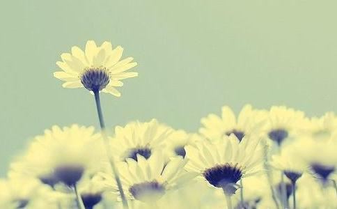 酒店生意招财符打造让客房爆满的10大秘诀