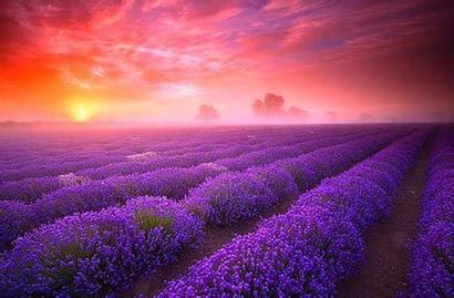 风水命理解析：鬼最怕的七种生肖