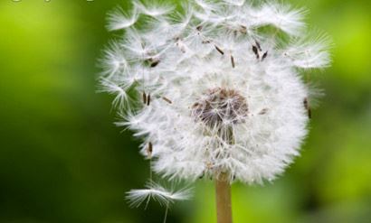 店铺装修设计与风水学书籍:打造吸客的秘诀