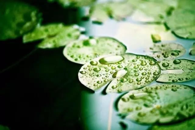 双童子命命运更悲惨  要尽早找道长化解