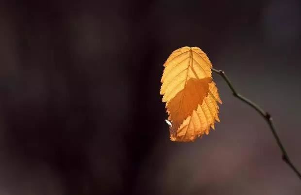 为什么会有婴灵的产生，超度亡灵后如何判断是否成功