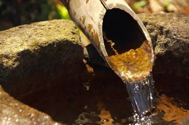 揭秘：通过生命根基秘法改变运势 听说赫赫有名的他也做过