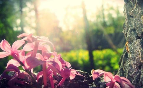 烧纸祭祖还阴债,有用吗？烧纸的意义与作用