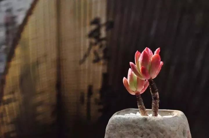 八字过硬,终身受益！应该如何看待八字？