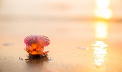 超度婴灵功德塔的作用以及制作方法