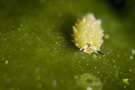 道观可以超度婴灵吗，孩子被婴灵缠身怎么办