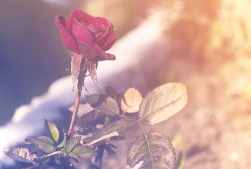 还阴债的最好时间原来是这个时候