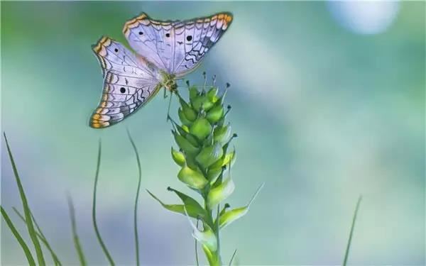 八字秘诀是哪个时候提出的？历史揭秘