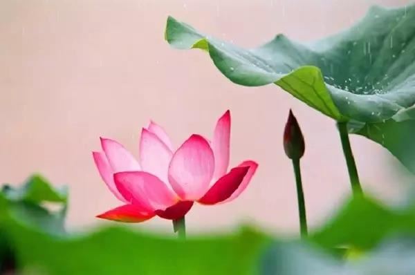 如何还阴债第五宫？|简单易懂的还阴方法分享