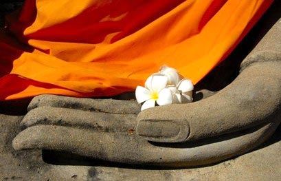 和合术后谁的反应大