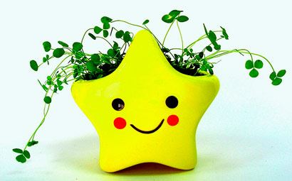 寺庙可以帮助你还阴债吗？追求“还阴”方法之一