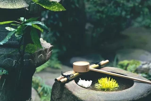 梦到认识的人去世,意味着什么？现实中的神秘事件解析