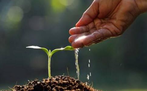 如何从八字名字中获取个人命运信息及八字配对,让名字成为自己的幸运护身符