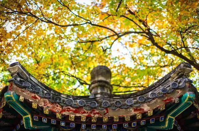 哭着挽回前女友都没有成功 应该怎么办？