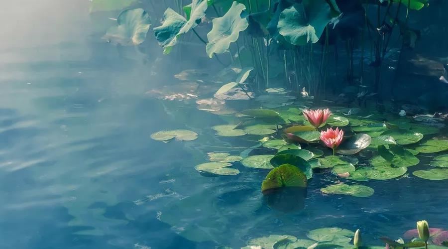 算命大师在线算命