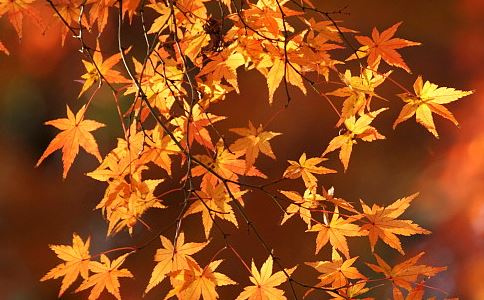 怎么知道阴债还完了 哪些人需要立即还阴债