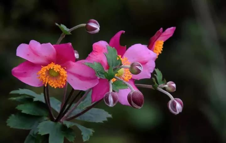 个人婚姻算命 八字测婚姻