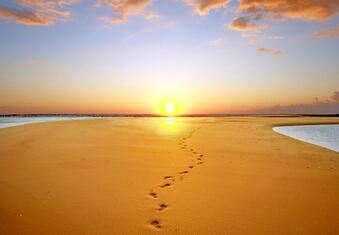 查询特殊命格的真假 可以从这两个方面去分析 一看一个准