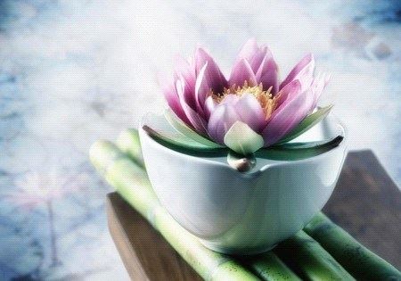 90后女子抱子认亲 我用夫妻和合术成功挽回婚姻