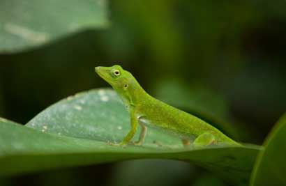 是如何超度婴灵的？一尘大师为您详解