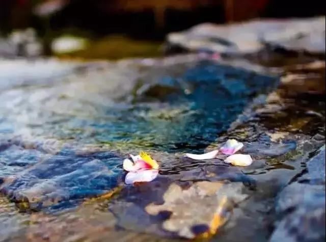 梦见自己和别人打架是什么意思？|解梦打架原因及预示