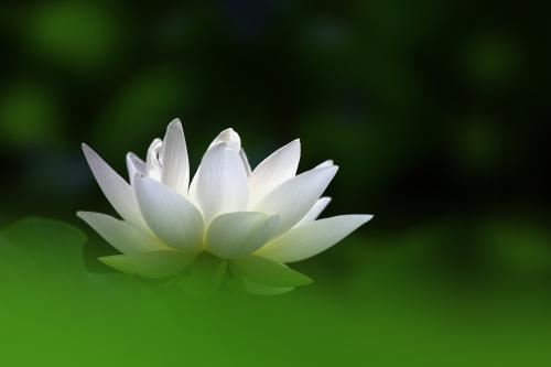 八字测算财库的方法和技巧 如何看待财与库的关系