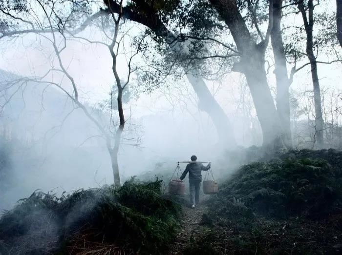 胆固醇过高的人适合在家辟谷的方法，这样在家辟谷效果让你意想不到