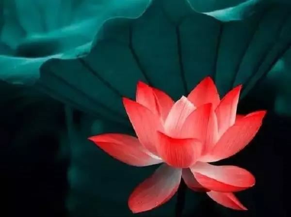 坠胎婴儿怎么送走度 要到正规的寺庙才能送走