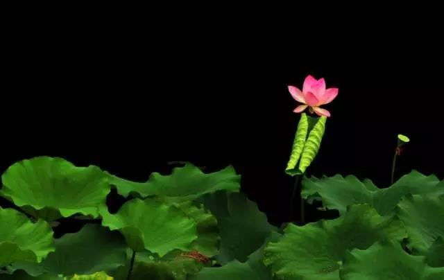 三煞是指什么呢 择结婚吉日要避开吗