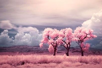 大师揭秘怎么查自己的冤亲债主