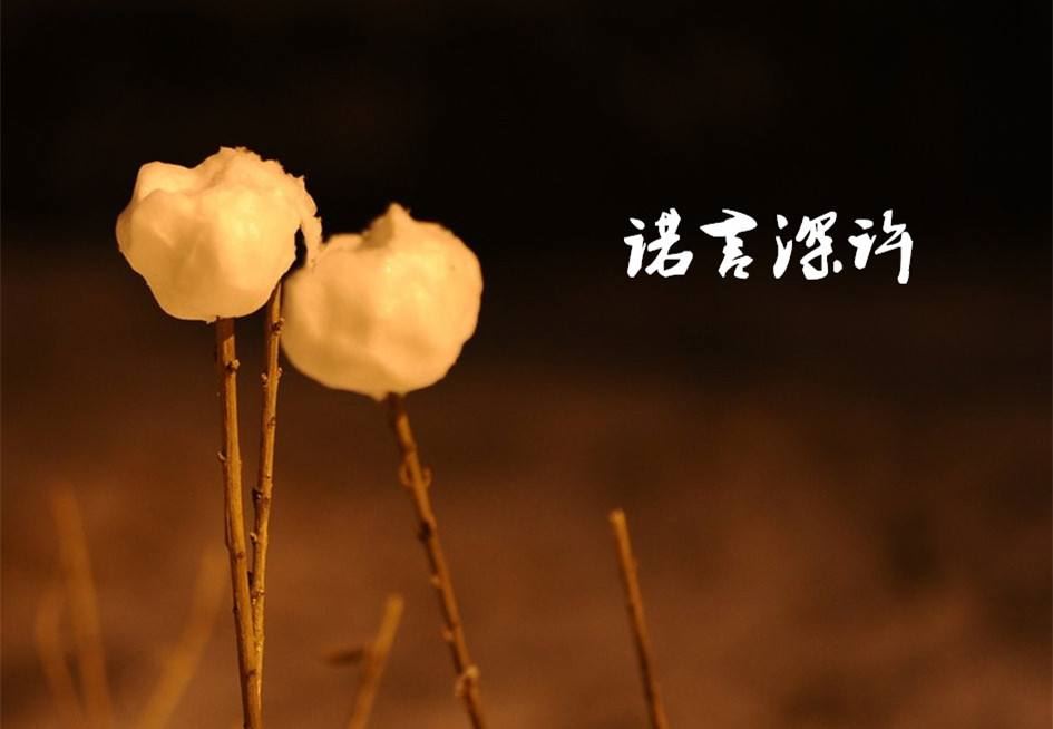 摆哪些东西在客厅财位会招财？