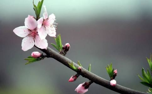 如何让婴灵得到解脱