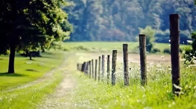 了解挽回你的婚姻方法,做到这两点能让你们感情升温