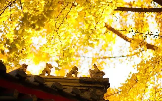 如何从八字看出一个人的学历情况？|八字学历分析方法详解