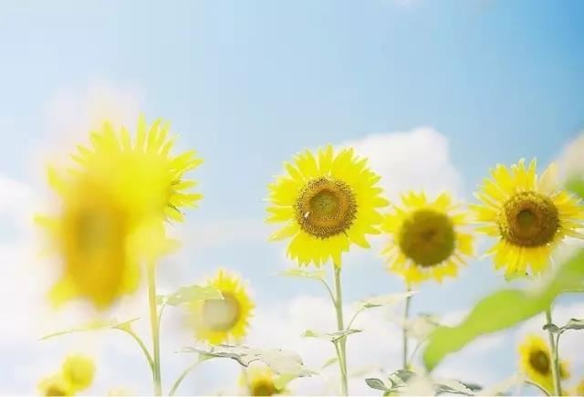 招财符刺青,做个好运人生